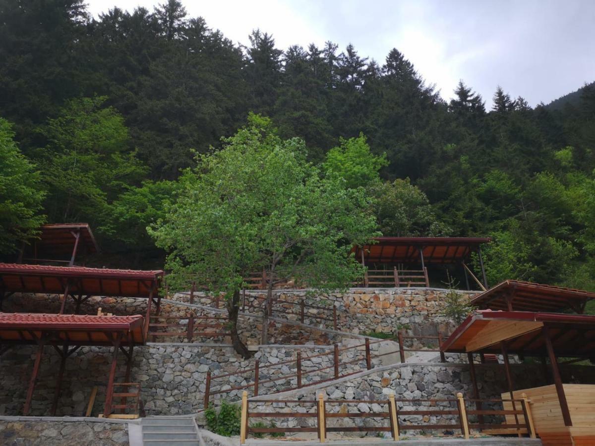 Turkuaz Apart Uzungöl Exteriér fotografie